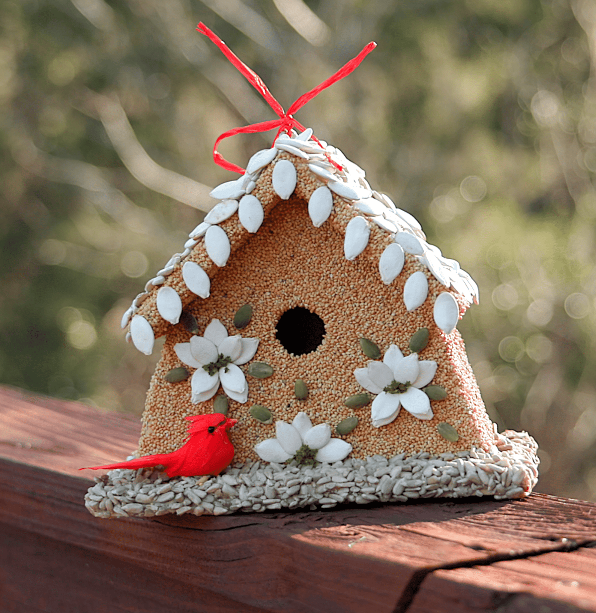 Pointsettia House
