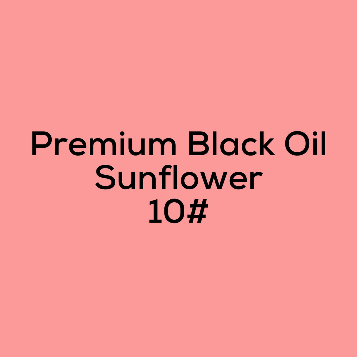 Premium Black Oil Sunflower 10#