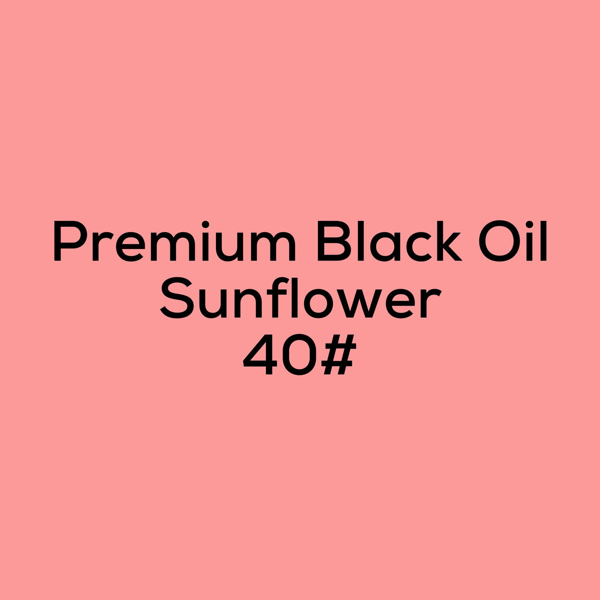 Premium Black Oil Sunflower 40#