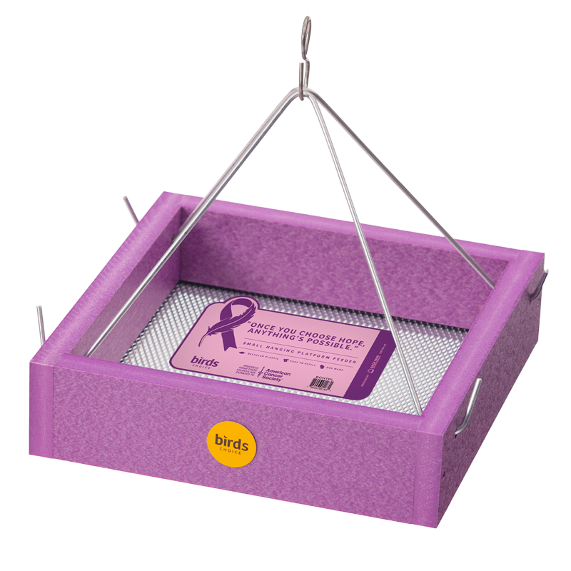 Small Hanging Tray Bird Feeder Purple