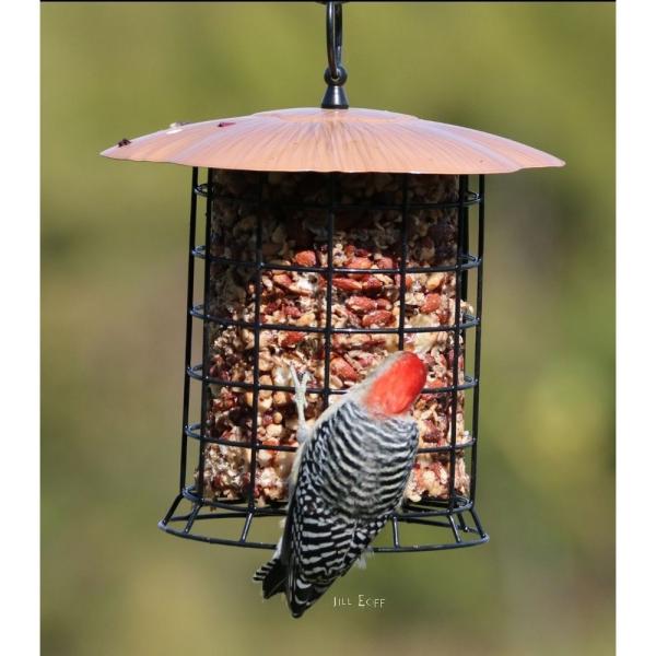 Large Copper Suet Log Feeder