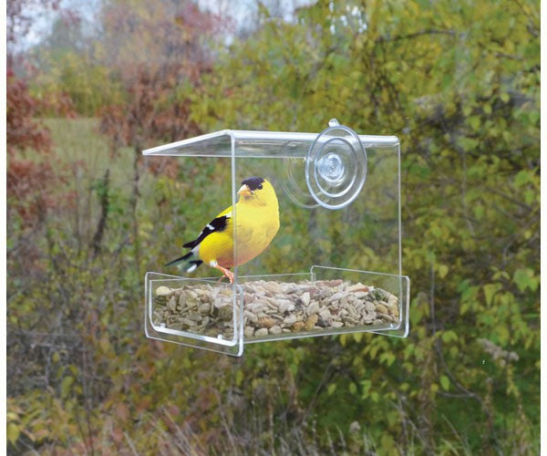 Clear View Mini Window Feeder