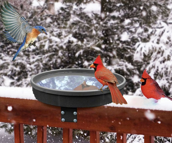 Songbird Spa - Heated Birdbath