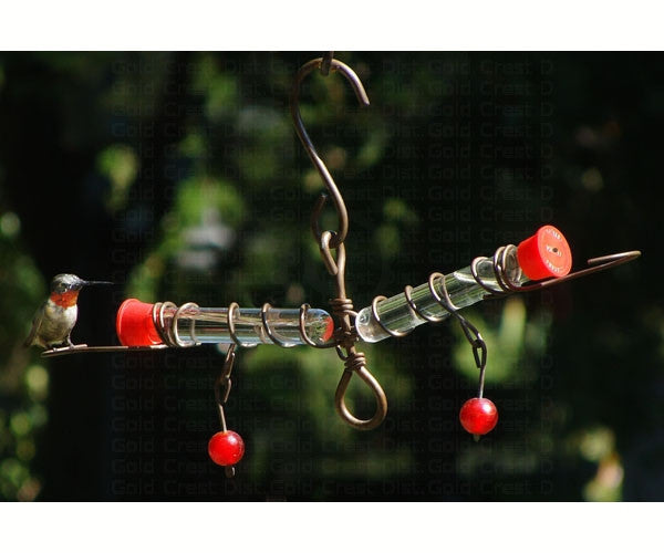 Tweeter Totter Hummingbird Feeder