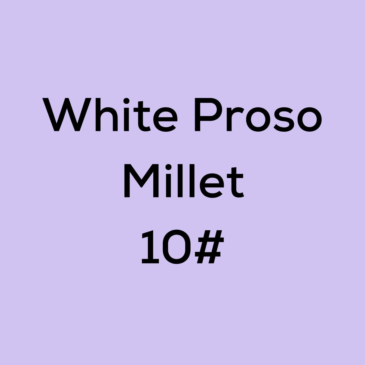 White Proso Millet 10#