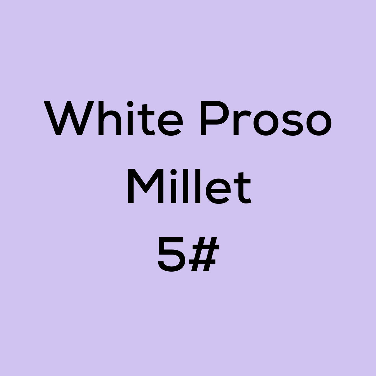White Proso Millet 5#