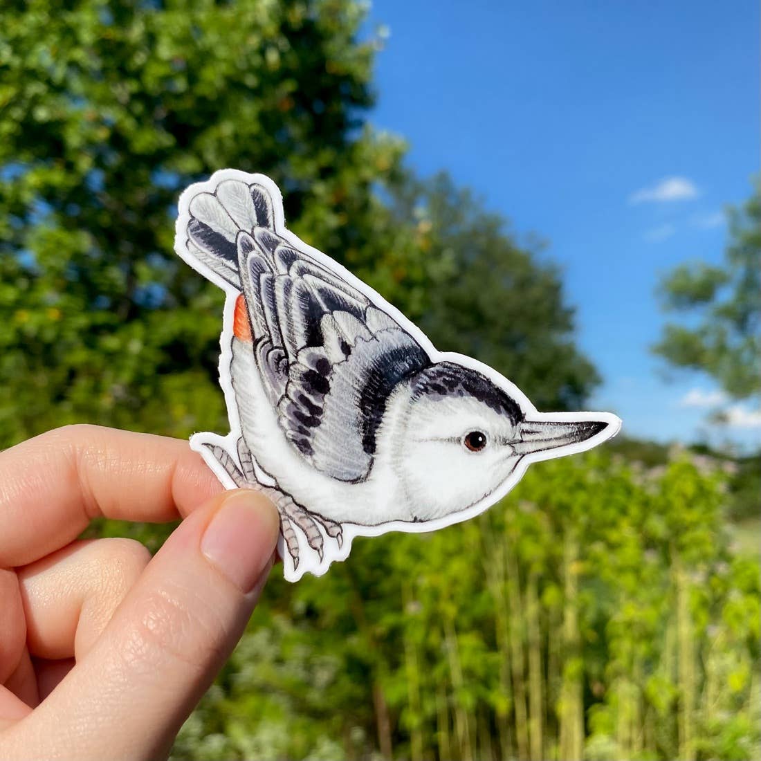 White-Breasted Nuthatch Sticker