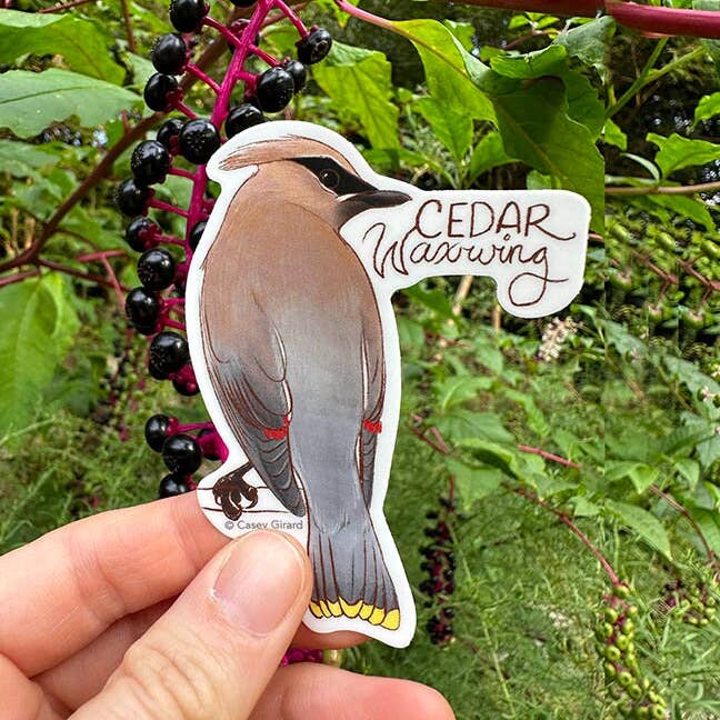 Cedar Waxwing Sticker