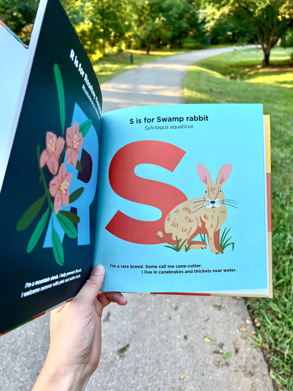 Wild Things of the Upstate | Children's Nature Alphabet Book