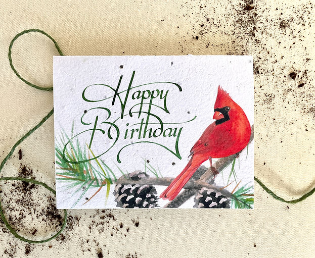 Happy Birthday Cardinal Seed Card Native Wildflowers