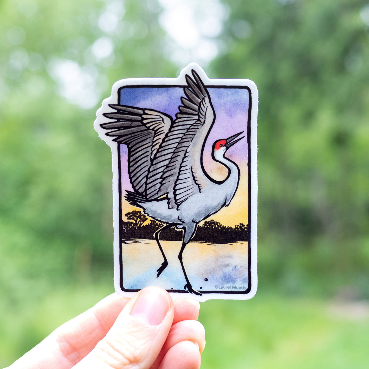 Sandhill Crane Sticker