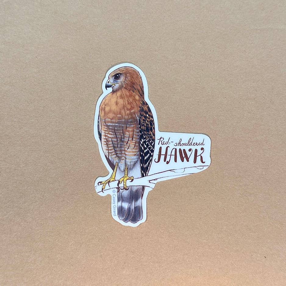 Red-Shouldered Hawk Sticker