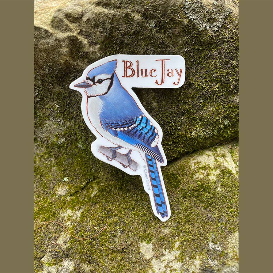 Blue Jay Sticker