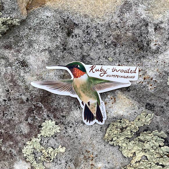 Ruby Throated Hummingbird Sticker