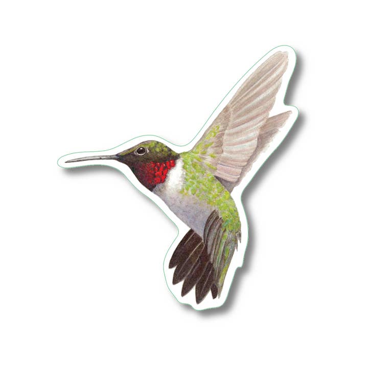 Ruby-Throated Hummingbird Nature Sticker