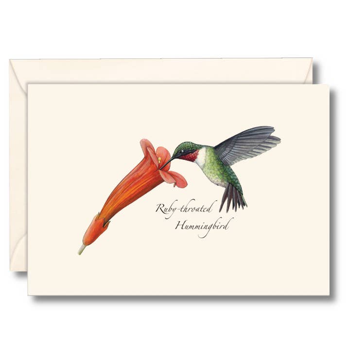 Hummingbird & Flower Notecard Set