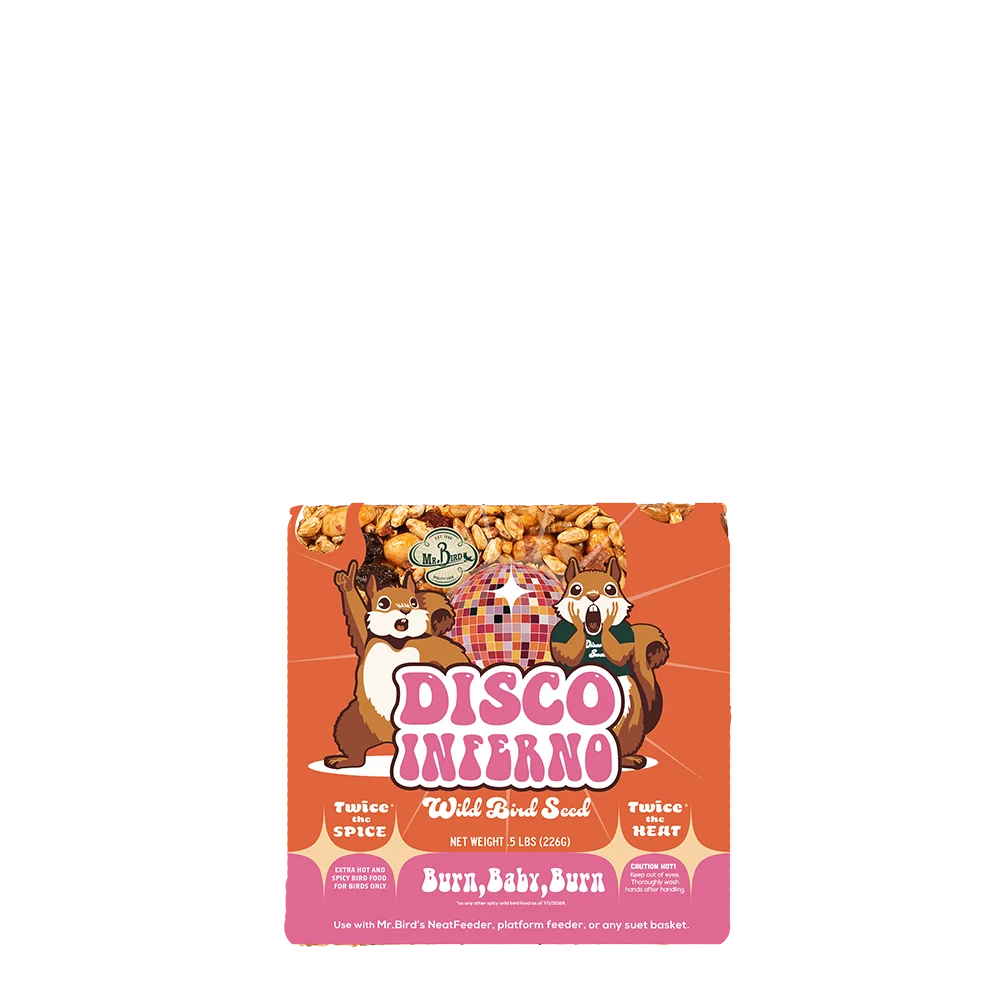 Disco Inferno Seed Cake - Small