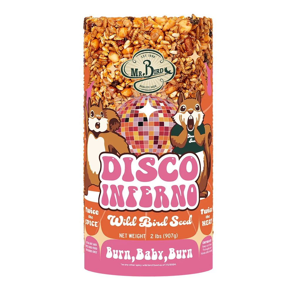 Disco Inferno Small Cylinder