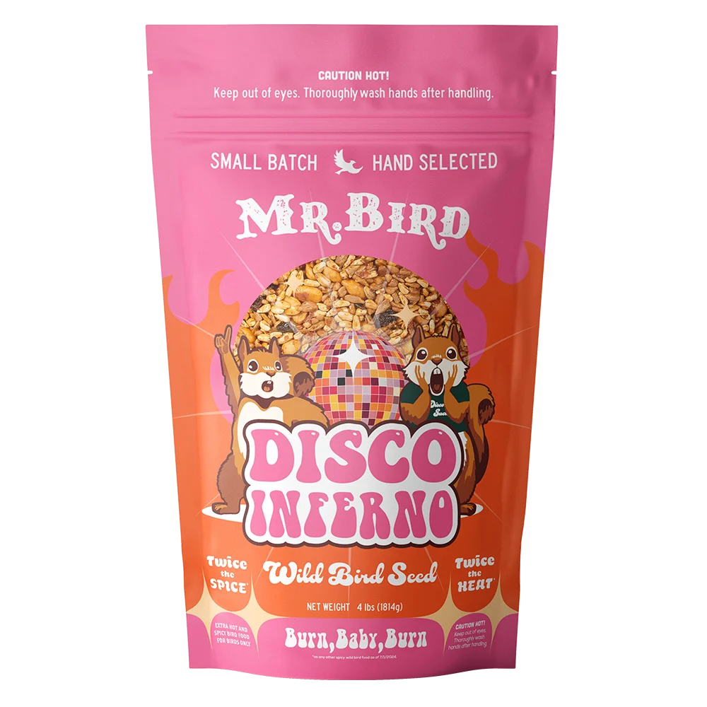 Disco Inferno 4lb Bag Seed
