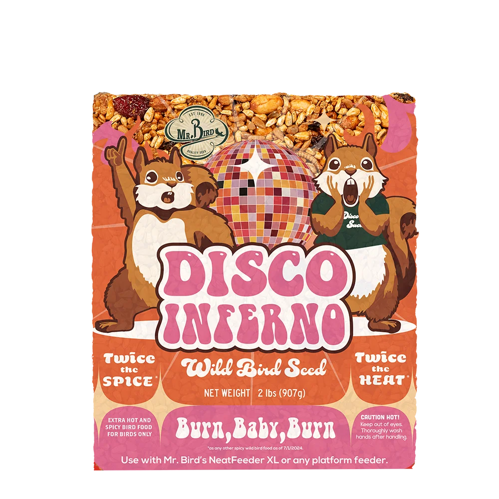 Disco Inferno Seed Cake - Large