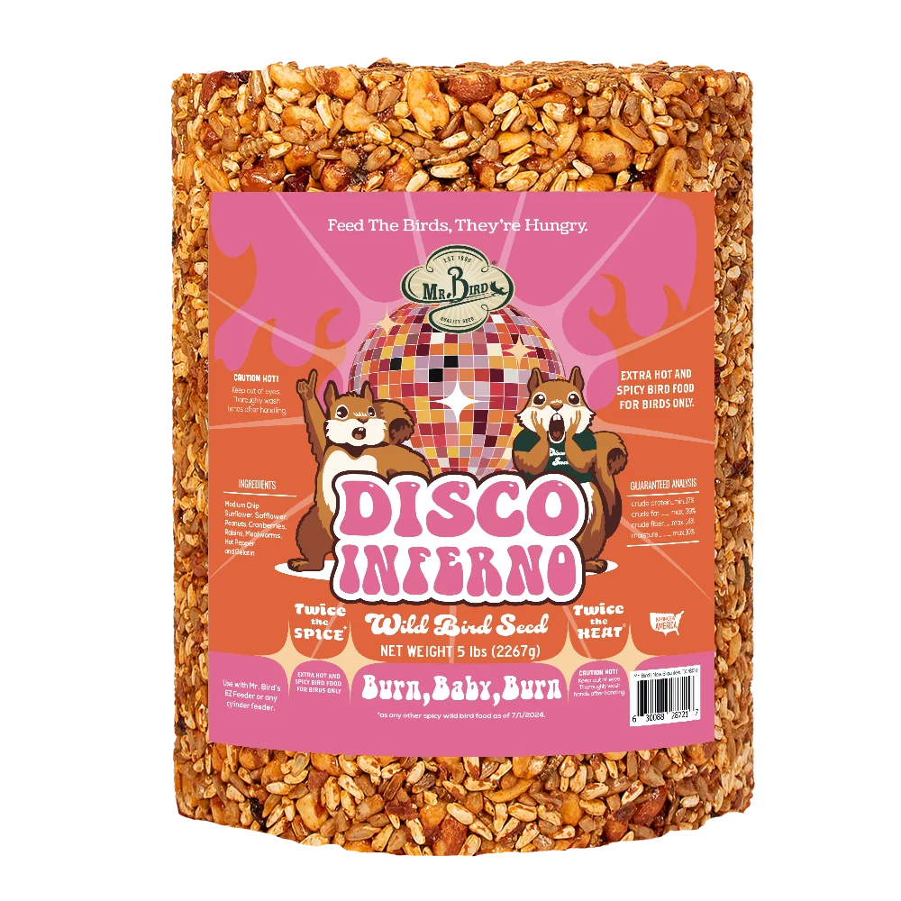 Disco Inferno Large Cylinder