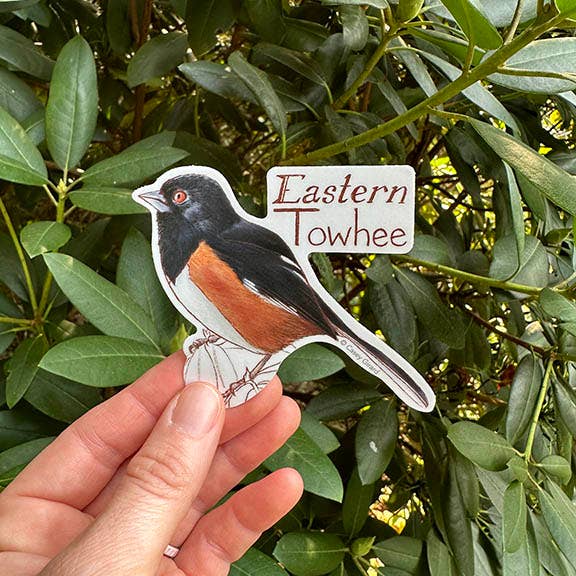 Eastern Towhee Sticker