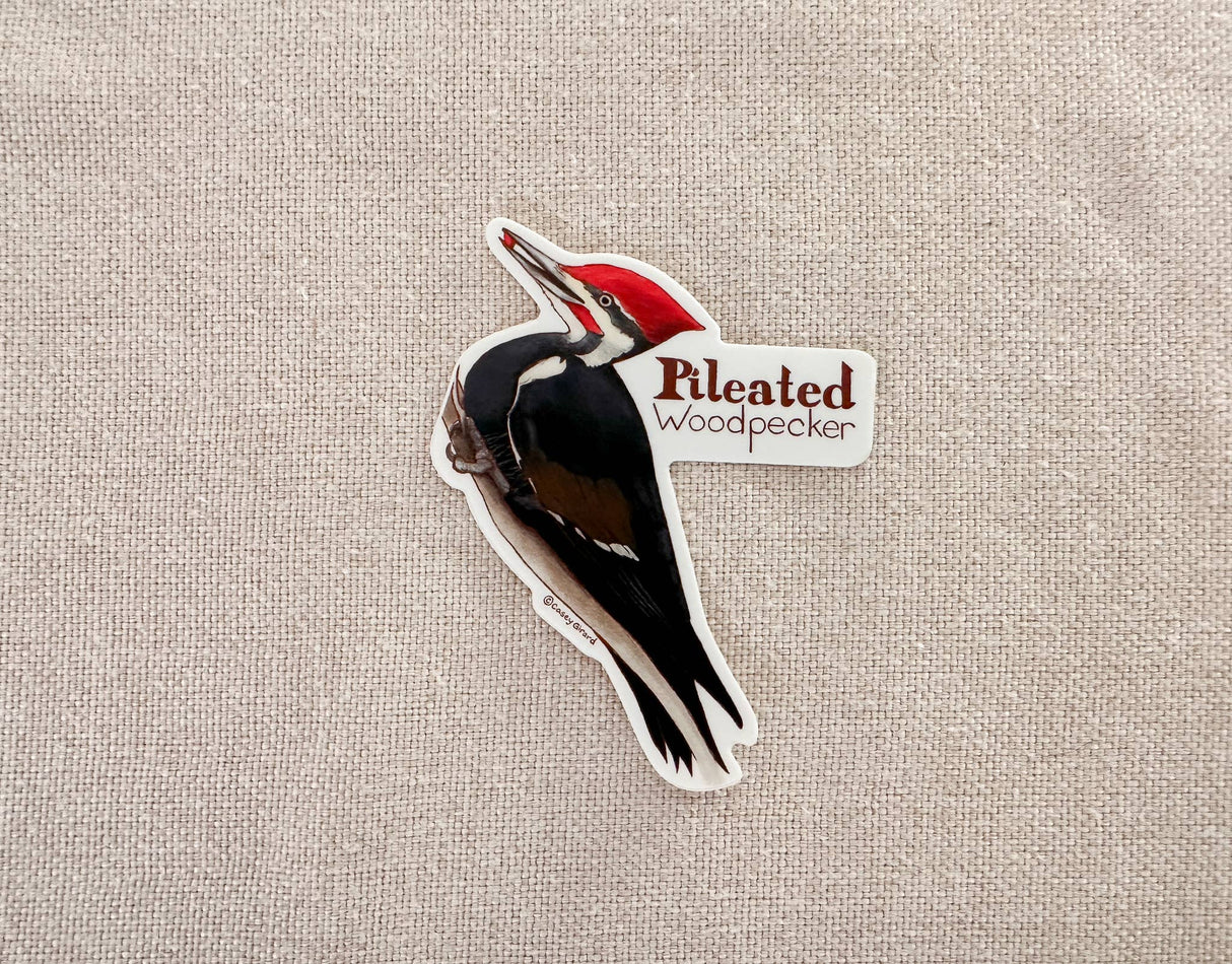 Pileated Woodpecker Sticker