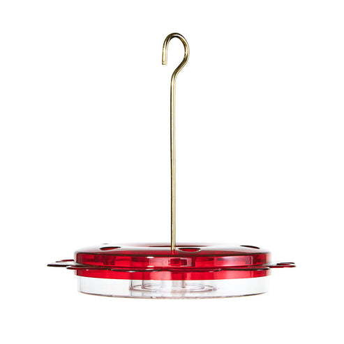 Hummingbird Hummerfest 12oz