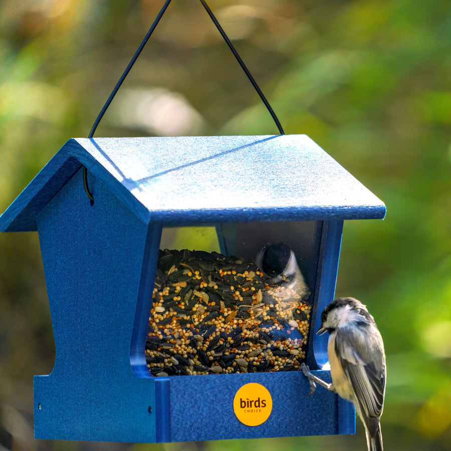 Small Recycled Hopper Bird Feeder - Dark Blue