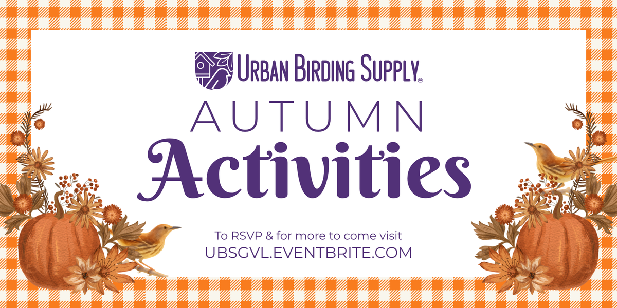 Autumn Activities Overview