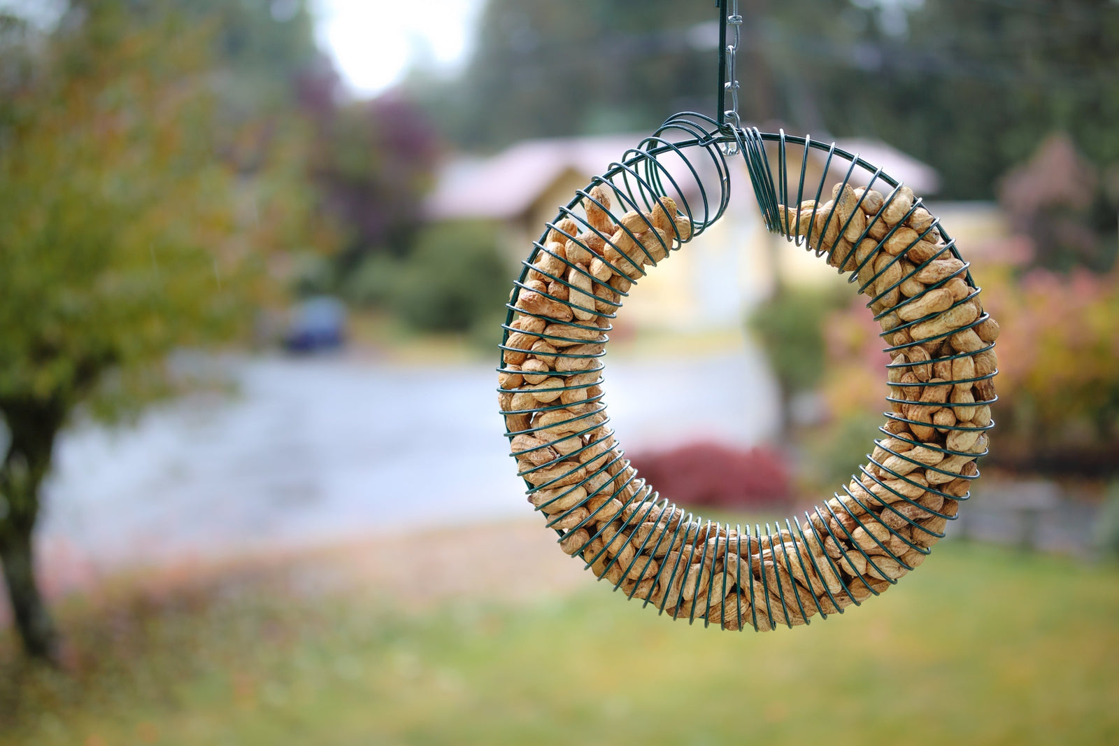 Peanut Wreath Bird Feeder with no birds