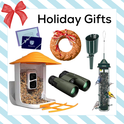 Holiday Favorites