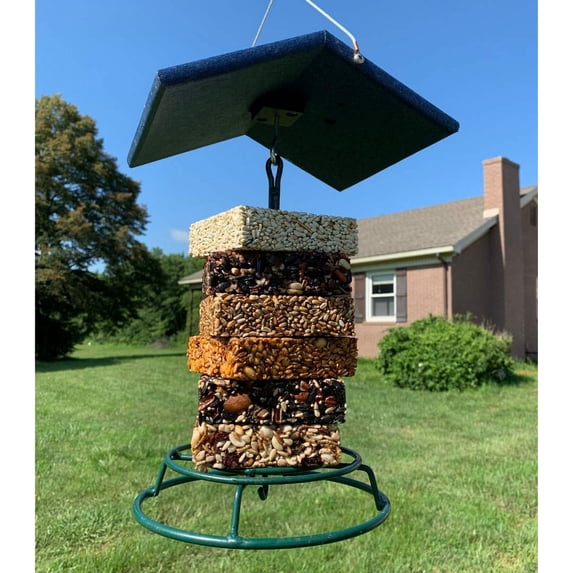 Bugs, Nuts, & Fruit Cake - Small