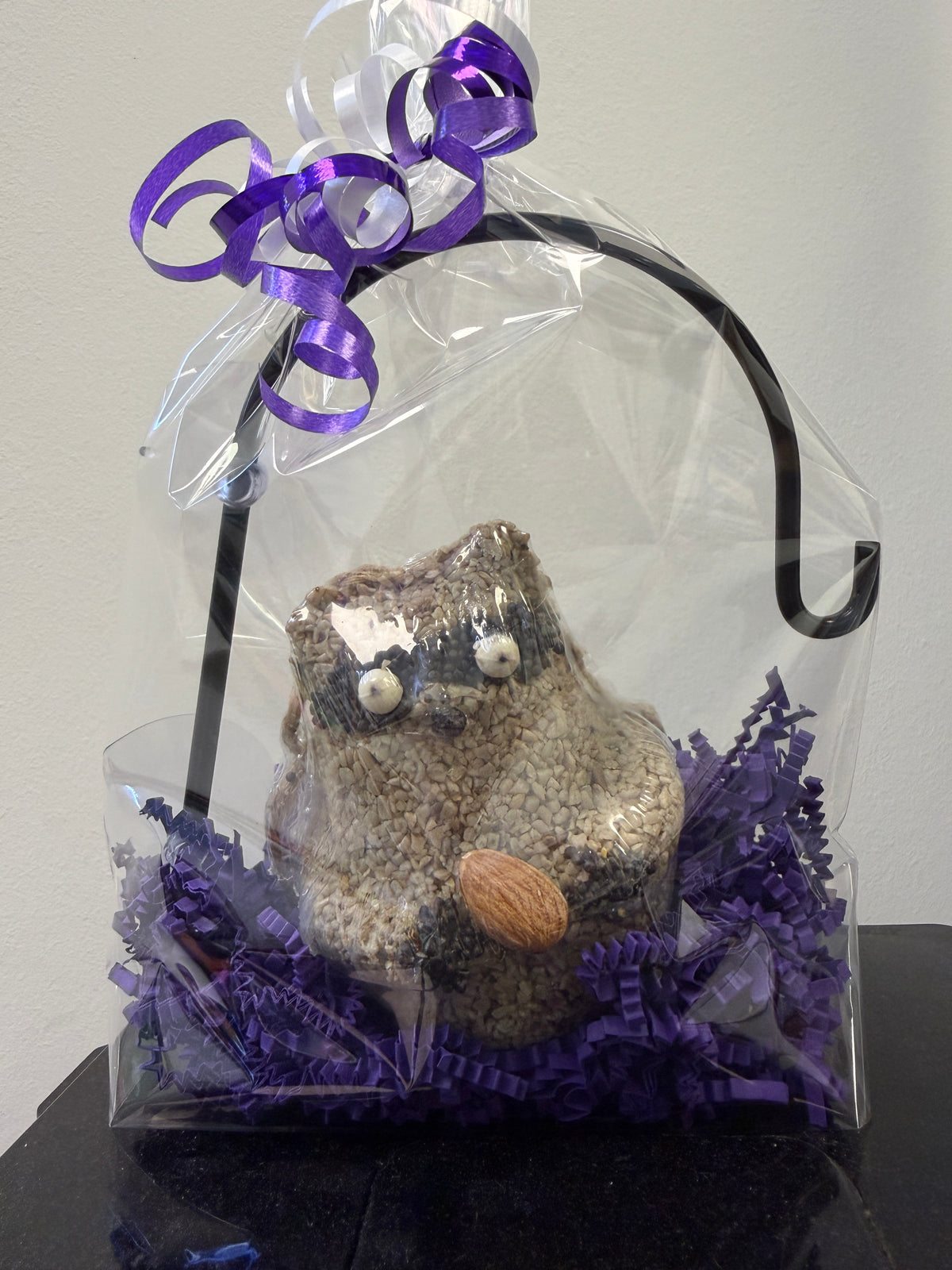Raccoon & Window Hanger