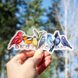 Bird the Rainbow - Vinyl Sticker