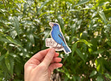 Indigo Bunting Sticker