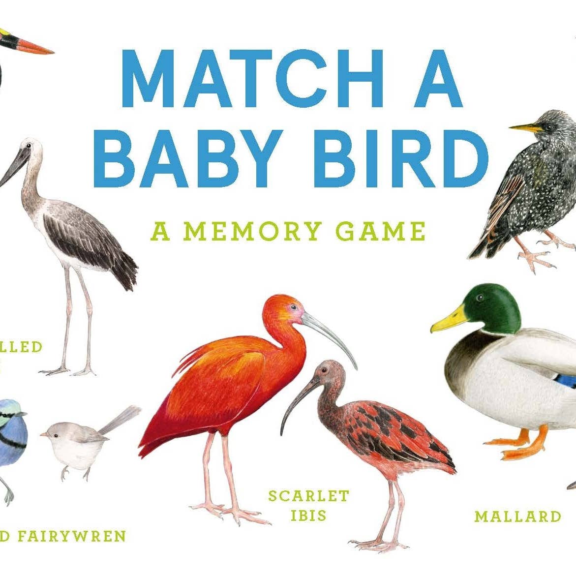 Match a Baby Bird Game