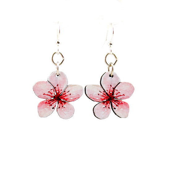 Cherry Blossoms