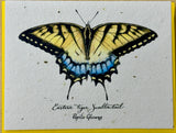Swallowtail Butterfly Seed Card Native Wildflower Mix