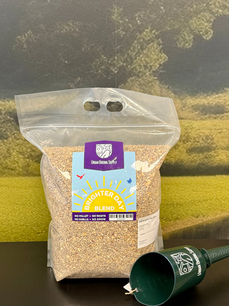 20 pounds of Brighter Day Blend in a Clear resealable bag sitting on a black counter top with nature scene mural behind and seed scoop funnel placed next to the bag. 