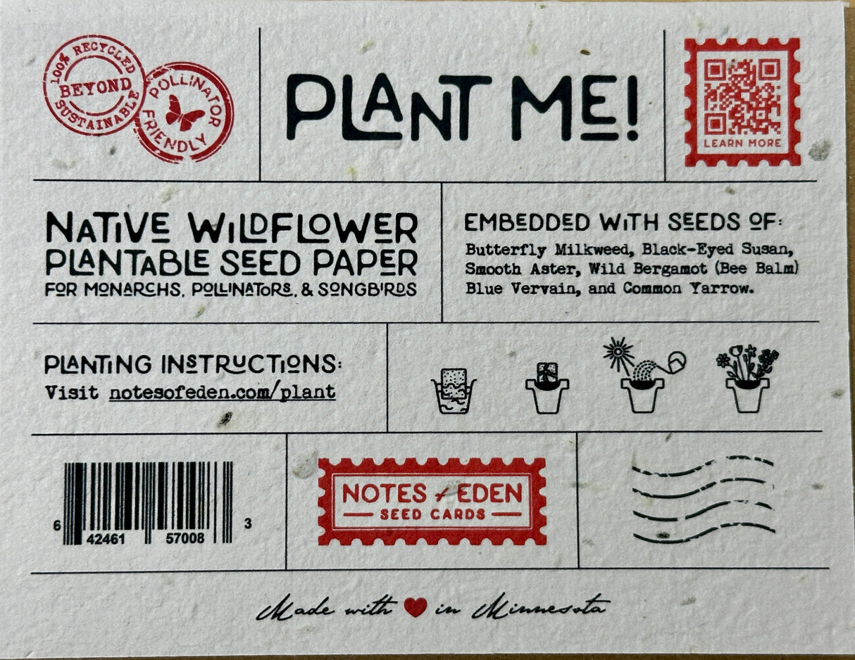 Swallowtail Butterfly Seed Card Native Wildflower Mix
