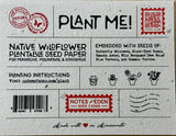 Swallowtail Butterfly Seed Card Native Wildflower Mix