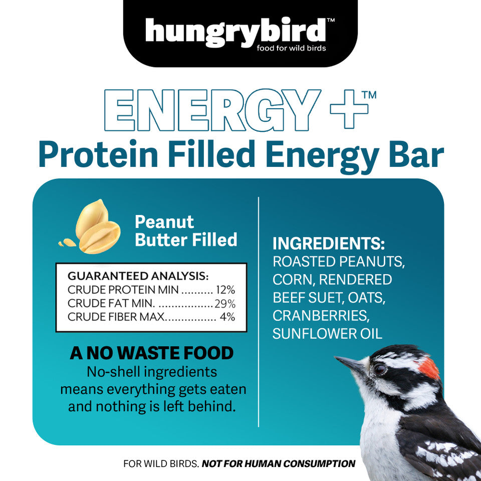 Energy+ Peanut Butter Suet Bar 17oz