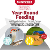 EnergyComplete™ Mealworm Suet Bites 3lb