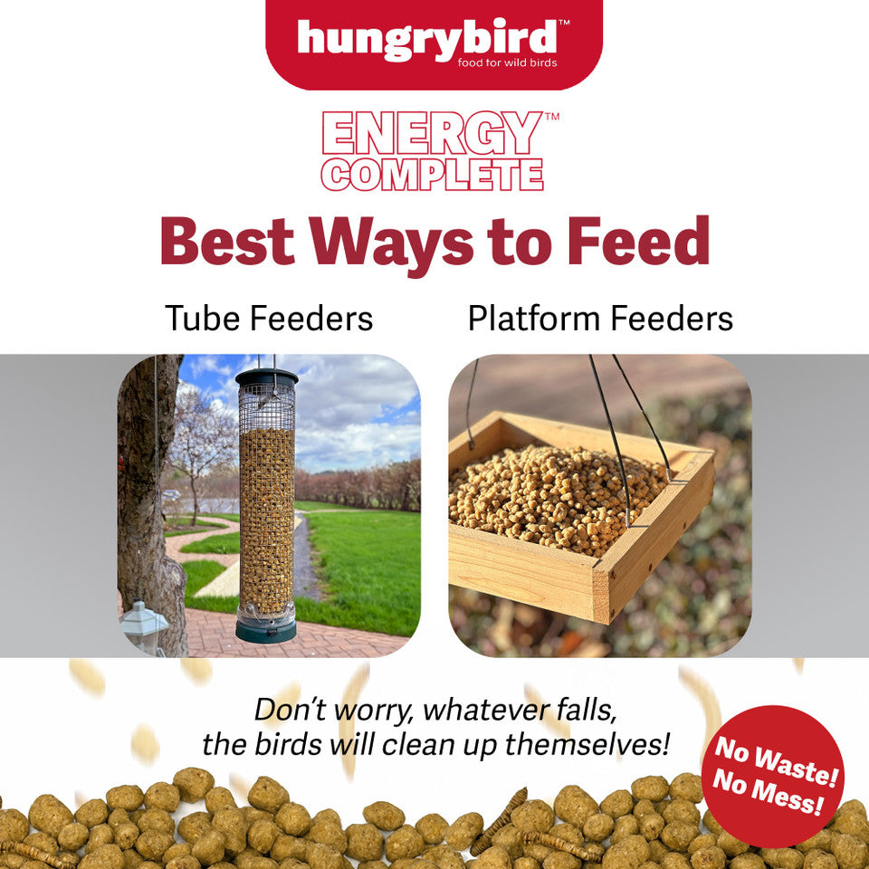 EnergyComplete™ Mealworm Suet Bites 3lb