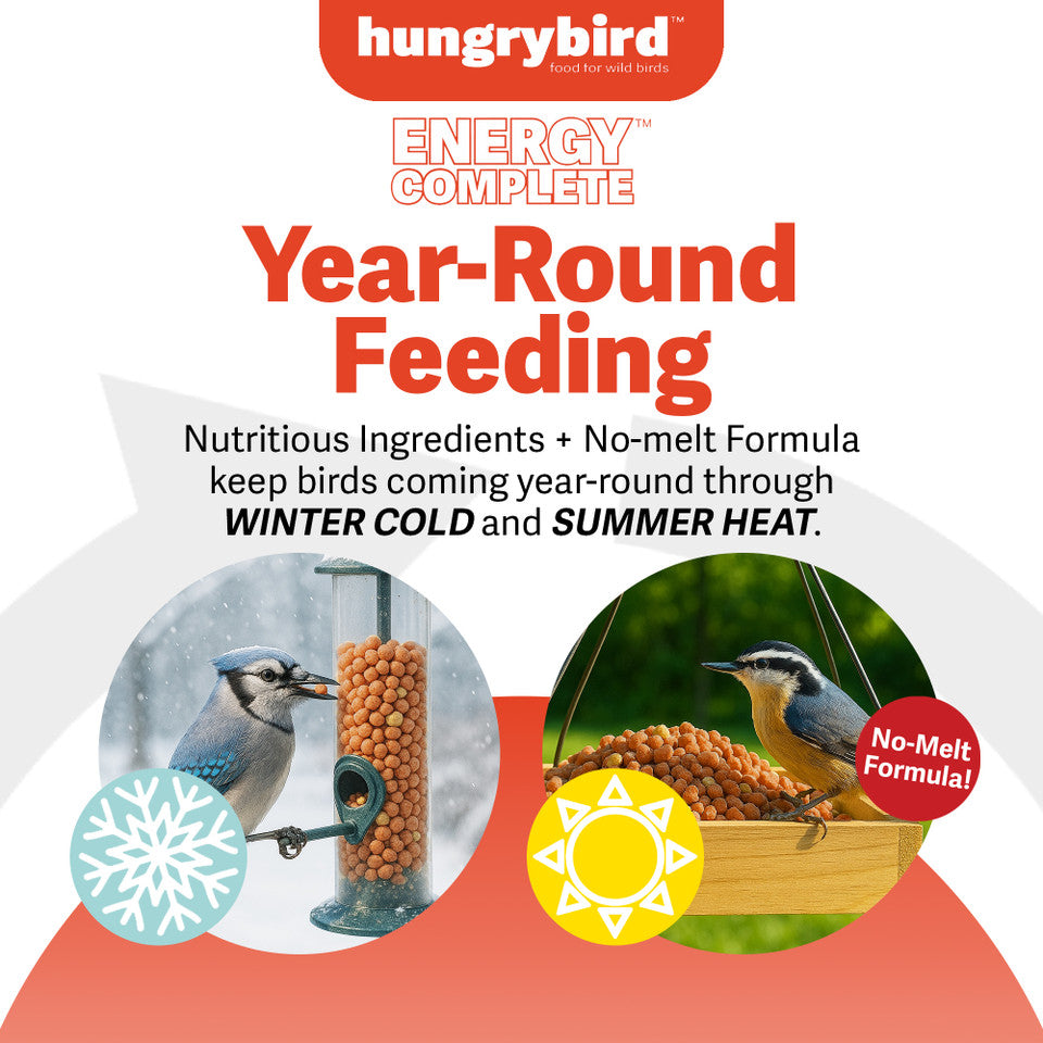 EnergyComplete™ Hot Pepper Suet Bites 3lb