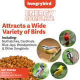 EnergyComplete™ Hot Pepper Suet Bites 3lb