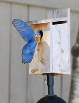 Economy Bluebird House