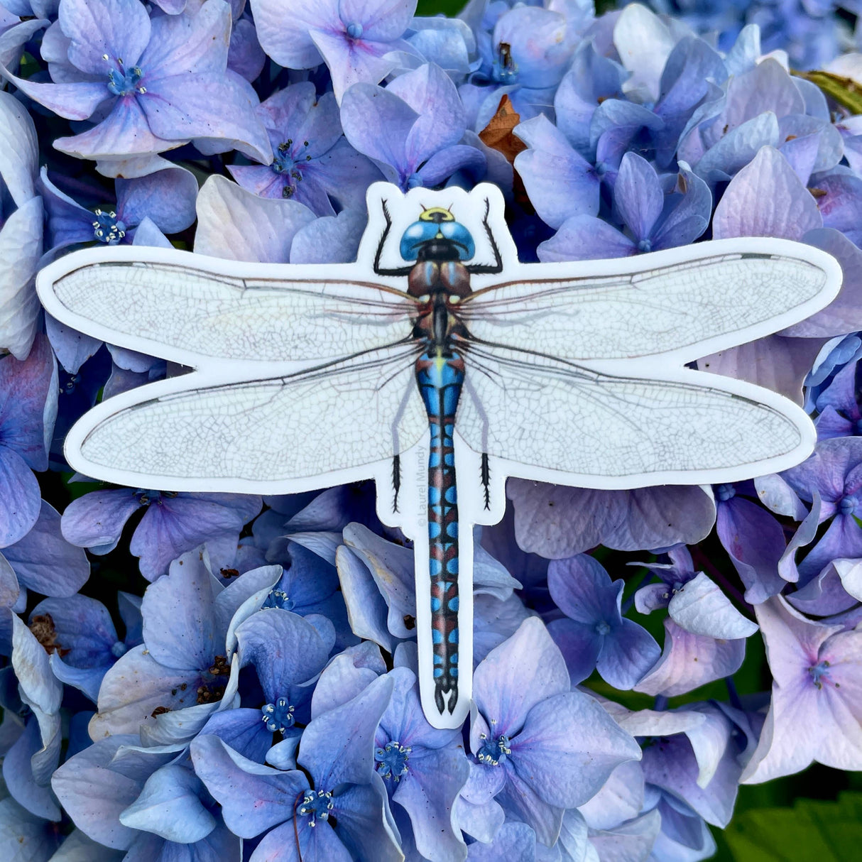 Blue Darner Dragonfly Sticker