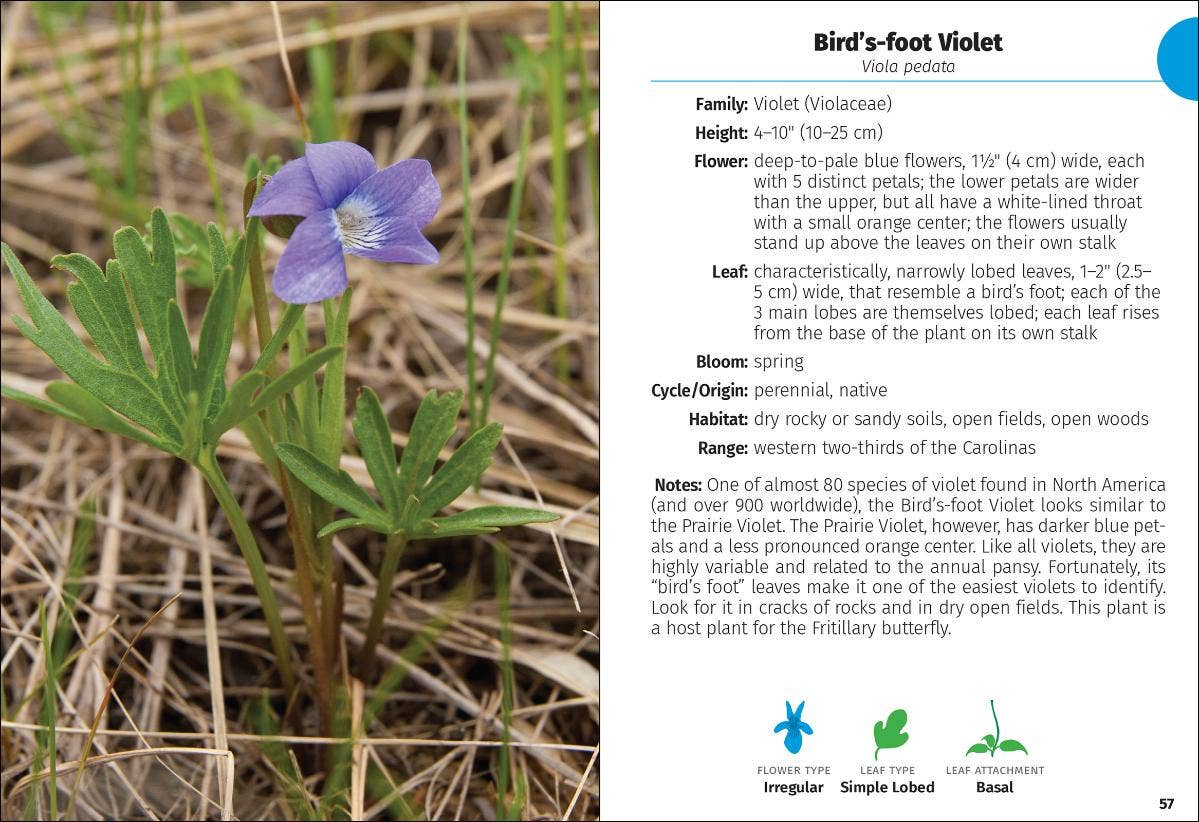 Wildflowers of Carolinas FG 2e